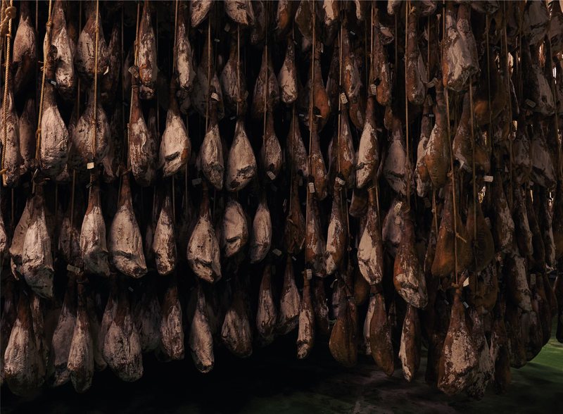 Jamones y paletas colgados en el secadero durante la curación